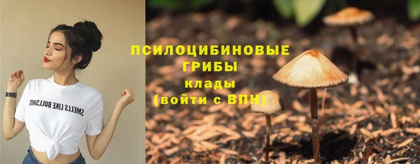 эйфоретик Абаза