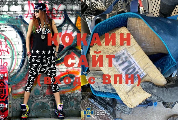 ГАЛЛЮЦИНОГЕННЫЕ ГРИБЫ Семёнов