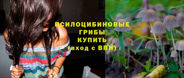 стафф Абинск