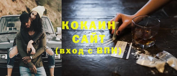 ГАЛЛЮЦИНОГЕННЫЕ ГРИБЫ Семёнов