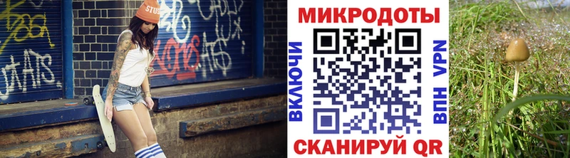 Галлюциногенные грибы мухоморы kraken маркетплейс Канск как найти