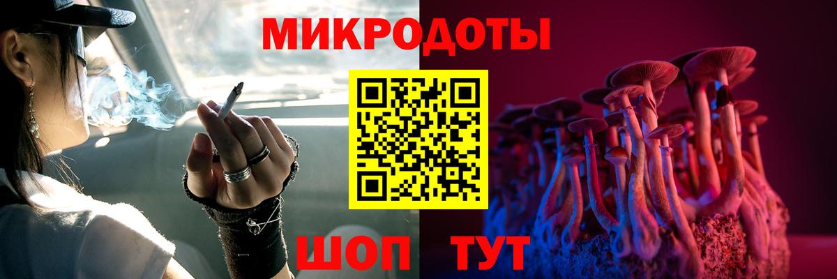 Галлюциногенные грибы Psilocybe Канск
